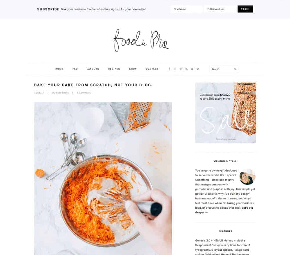 Foodie Pro Theme