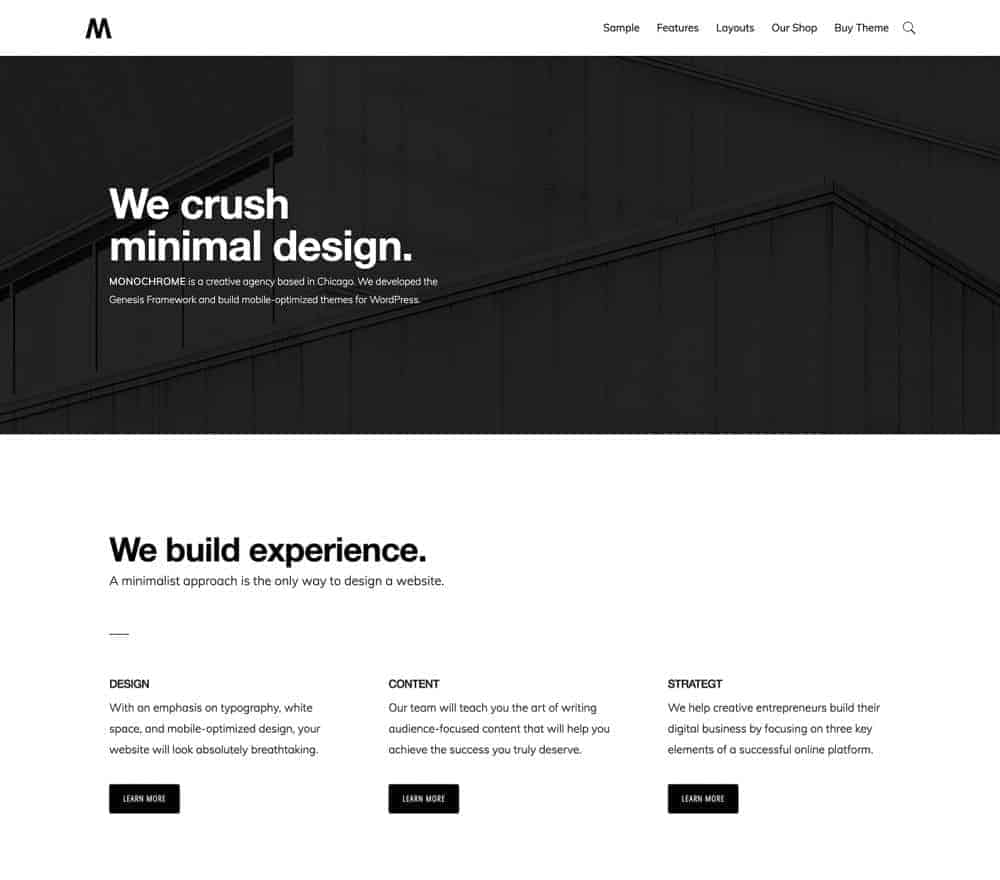 Monochrome Pro Theme