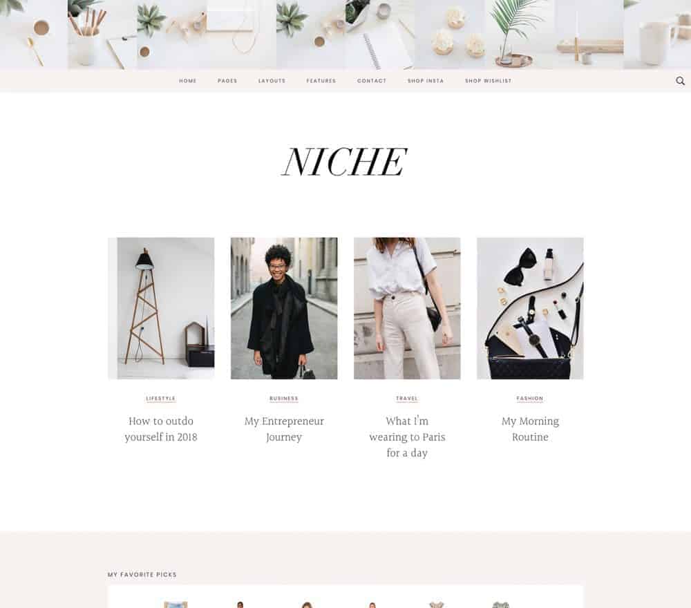 Niche Pro Theme
