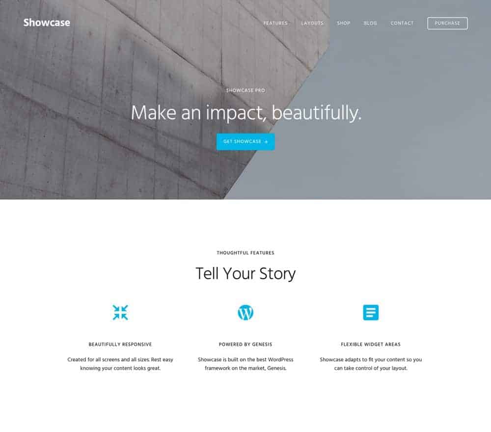 Showcase Pro Theme