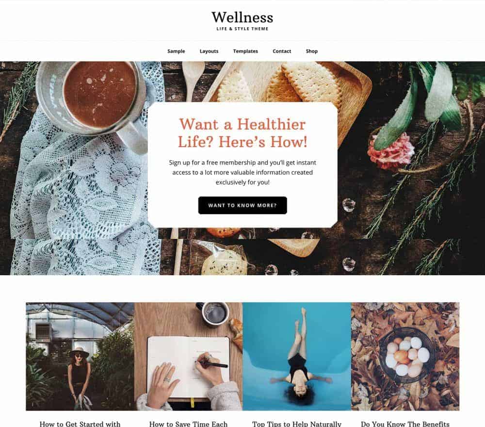 Wellness Pro Theme